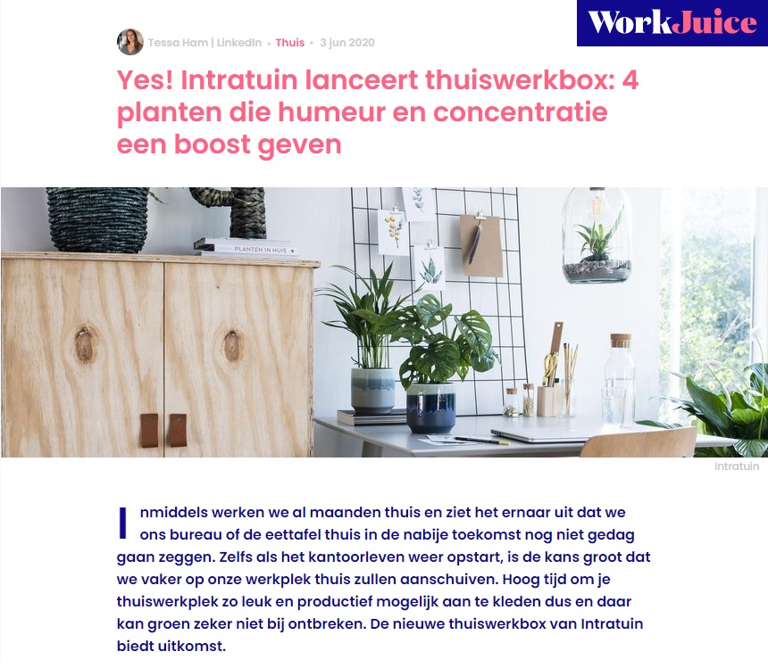 Intratuin x Blyde Benelux: Het groene werken; thuiswerkbox